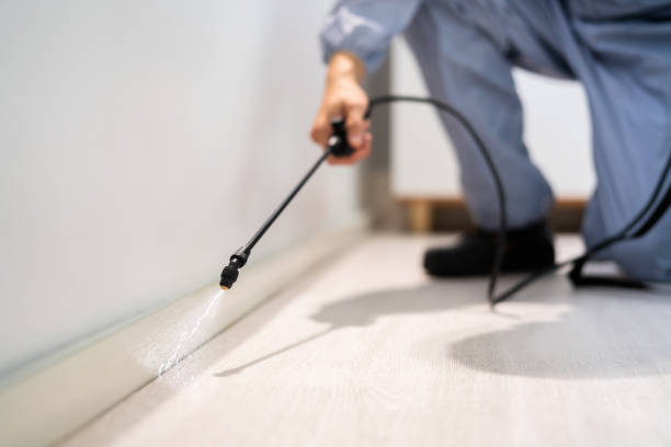 Licensed Termite Control service in Berthoud, CO - Nex Pest Control