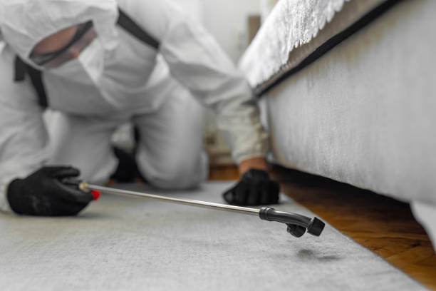 Professional Termite Control technician working in Berthoud, CO